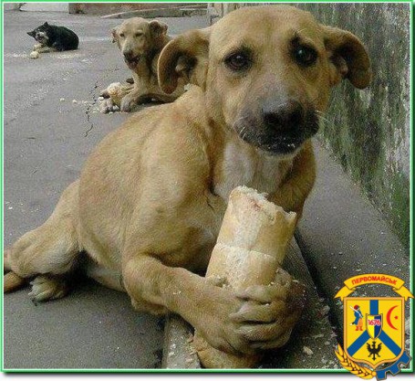 Шановні мешканці міста! Шановні мешканці міста!
