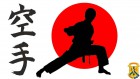 Перший день Чемпіонату Світу «2017 International Karate Friendship (IFT)»