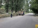 Боротьба з амброзією