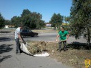 Боротьба з амброзією полинолистою