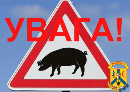 Африканська чума свиней (АЧС) у Врадіївському районі Миколаївської області
