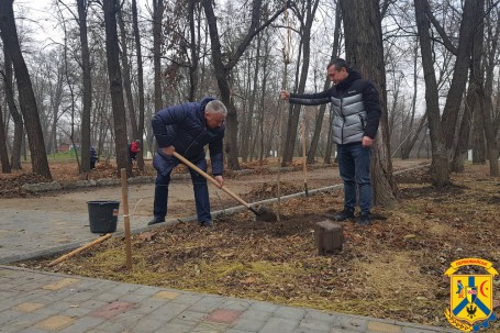Відбулась акція з висадки молодих дерев
