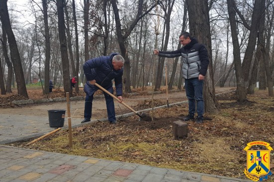 Відбулась акція з висадки молодих дерев Відбулась акція з висадки молодих дерев