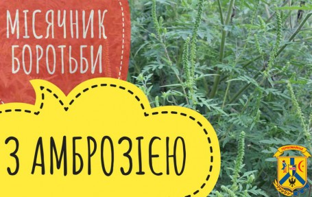 АМБРОЗІЯ – ПРОБЛЕМА СПІЛЬНА АМБРОЗІЯ – ПРОБЛЕМА СПІЛЬНА