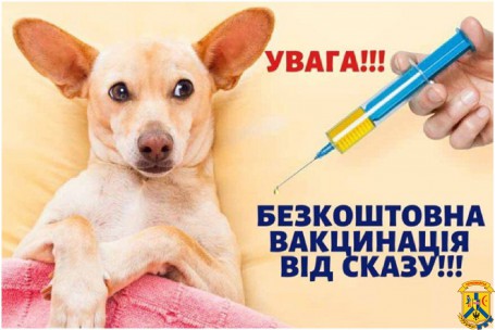 Сказ!!! Заходи боротьби та профілактики Сказ!!! Заходи боротьби та профілактики