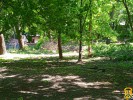 У Первомайську в центральному парку «Дружби народів» тривають роботи по очищенню території від чагарників, аварійних дерев та кронування зелених насаджень