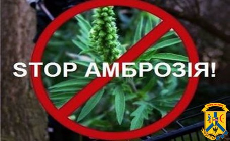 Гаряча лінія Гаряча лінія