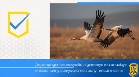 УВАГА!!! Міграція перелітних птахів. Небезпека занесення грипу птиці. УВАГА!!! Міграція перелітних птахів. Небезпека занесення грипу птиці.