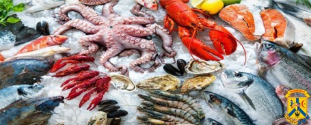 В Україну надійшли небезпечні для здоров’я морепродукти, забруднені кадмієм В Україну надійшли небезпечні для здоров’я морепродукти, забруднені кадмієм