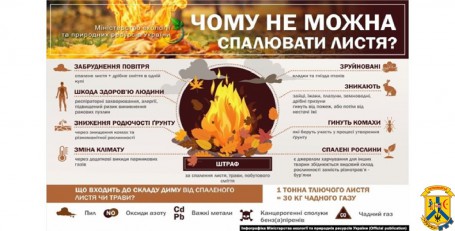 Чому не можна спалювати листя? Чому не можна спалювати листя?