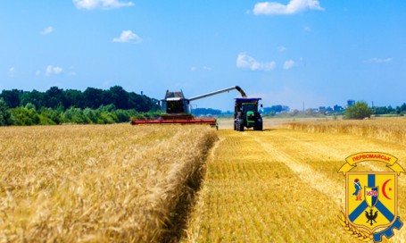 Про отримання посівного матеріалу кукурудзи Про отримання посівного матеріалу кукурудзи