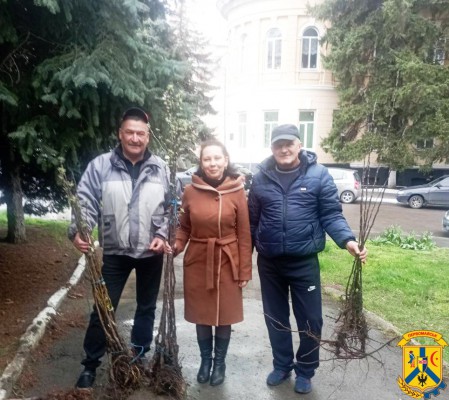 Здійснюється видача дерев квартальним комітетам для озеленення територій міських кварталів. Здійснюється видача дерев квартальним комітетам для озеленення територій міських кварталів.