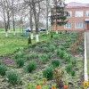 В Грушівському та Підгороднянському старостинських округах продовжується благоустрій території.
