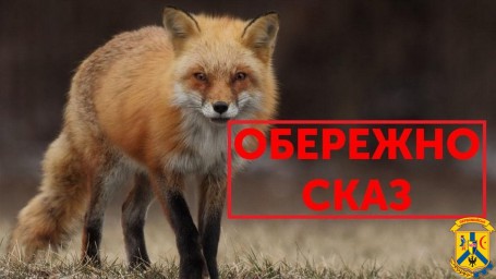 Сказ лисиці в Первомайську Сказ лисиці в Первомайську