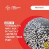 Центр громадського здоров’я України нагадує: мертву рибу або ту, що вмирає, не можна збирати для подальшого зберігання, готувати чи споживати. 