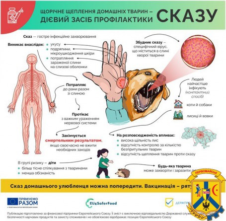 Сказ є гострим інфекційним захворюванням тварин і людей Сказ є гострим інфекційним захворюванням тварин і людей