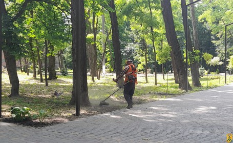 Здійснюються покоси трави  і   прибирання на  вулицях Південна та Лейтенанта Шмідта .   