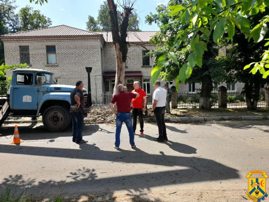 Проводяться роботи із видалення аварійних дерев Проводяться роботи із видалення аварійних дерев