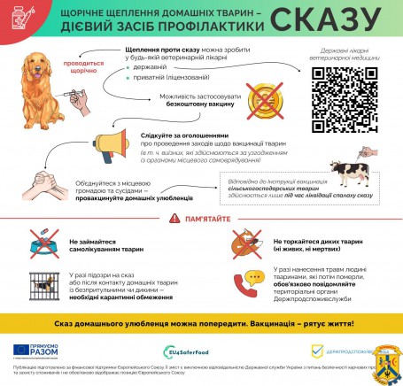 Вакцина проти сказу: як і коли застосовувати Вакцина проти сказу: як і коли застосовувати
