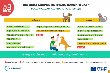 «Сказ!!! Заходи боротьби та профілактики». «Сказ!!! Заходи боротьби та профілактики».