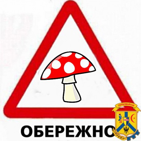 Пам’ятка для населення Основні рекомендації та правила для збору та вживання грибів Пам’ятка для населення Основні рекомендації та правила для збору та вживання грибів