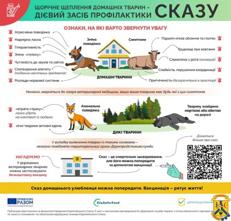 СКАЗ. Ознаки, на які варто змінити увагу СКАЗ. Ознаки, на які варто змінити увагу