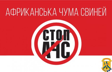 Африканська чума свиней одна з найбільш небезпечних хвороб свиней. Африканська чума свиней одна з найбільш небезпечних хвороб свиней.