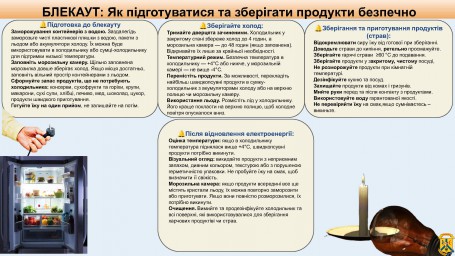 БЛЕКАУТ: Як підготуватися та зберігати продукти безпечно