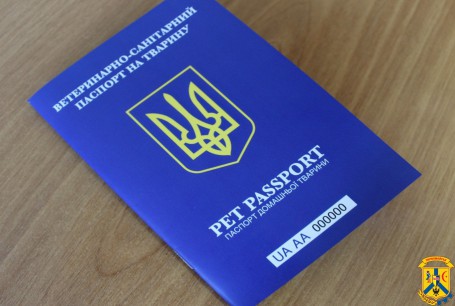 Як вивезти домашню тварину за кордон: алгоритм дій та необхідні документи