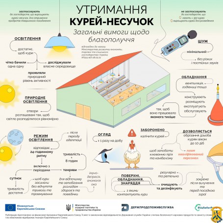 Вимоги щодо благополуччя. Профілактика захворювання грипу птиці. Вимоги щодо благополуччя. Профілактика захворювання грипу птиці.
