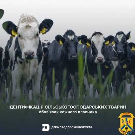 ДО УВАГИ ВЛАСНИКІВ ТВАРИН:  ІДЕНТИФІКАЦІЯ ТВАРИН Є ОБОВ’ЯЗКОВОЮ.