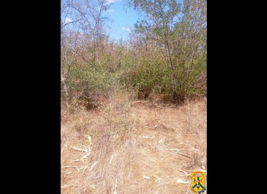 У відповідь на публікацію щодо виявлення звалища решток тварин на околицях Первомайська, повідомляємо, що працівники управління житлово-комунального господарства Первомайської міської ради відреагували на ситуацію