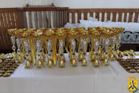 Уперше в історії міста відбувся Фестиваль єдиноборств, який перетворив спортивний комплекс «Фрегат» на справжню арену сили, мужності й незламного духу громади