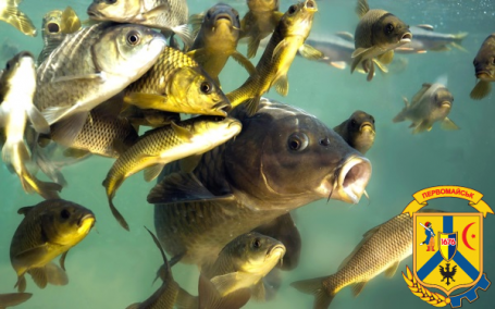 Профілактичні заходи у рибництві